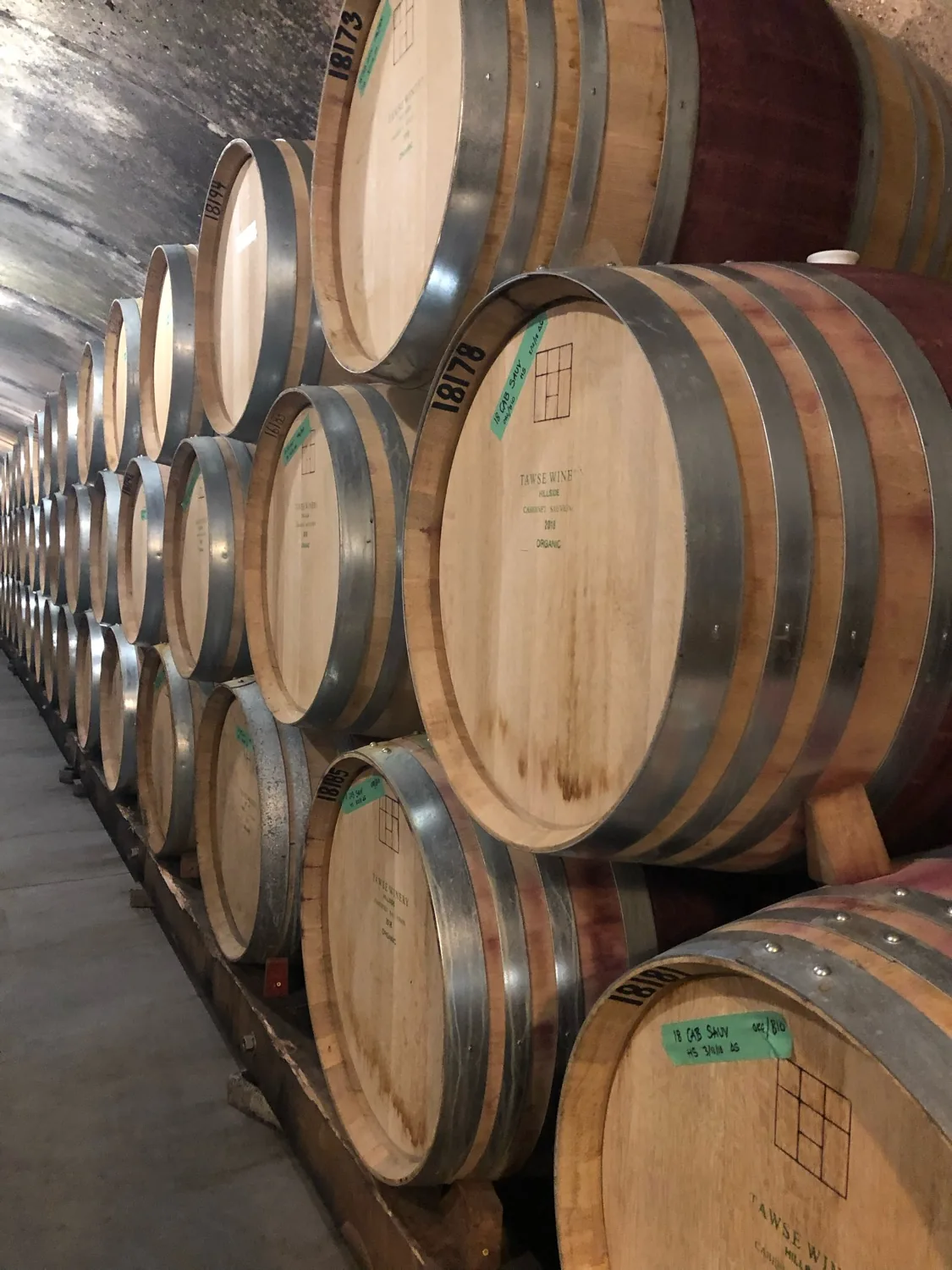 Rows of oak barrels stacked in a Niagara winery's underground barrel cellar